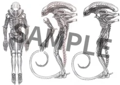 GOOD SMILE COMPANY Figma Alien: Takayuki Takeya Ver. -Max Factory 0da78d99574b4e96ab3443e000790781.jpg